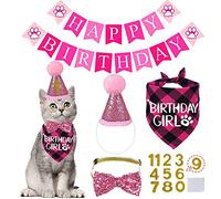 STMK Cat Birthday Decorations, Cat Birthday Hat with Numbers Bandana Bow Tie Collar Banner for Cats Kittens Outfits (Pink)