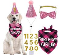 STMK Dog Birthday Hat & Bandana - Multi Sizes, Pink, X-Large