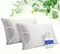 STNOMY 100% Eucalyptus Tencel Lyocell Pillow Case Queen Size Set of 2,Cooling Pillow Cover for Hot Sleeper,Luxrious Soft Vegan Silk Oekotex 100 Certified (Silver)