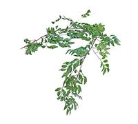STOBAZA 1Pc Simulated Willow Leaf Rattan Decor Green Artificial Vine for Wedding Home and Event Decorations Easy to Bend Odorless Material Natural Look No Maintenance Required