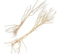 STOBAZA Fish Tank Dry Twig Adornment Aquarium Underwater Landscape Decor Safe for Fish Creative Unique Lifelike Dead Wood Dry Branch Wood Stone Aquarium Accessories