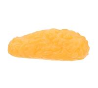 STOBAZA Realistic Human Fat Tissue Model for Anatomy Class Display Nutrition Fat Analysis Tool Clinical Teaching Aid Weight Loss Motivation Reminder