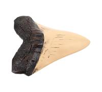 STOBAZA Realistic Resin Megalodon Tooth Model for Enthusiasts, Educational and Continuous Display, for Home Décor and DIY Crafts with Nautical Coastal Style