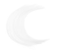 STOBOK Simulated Cat Whiskers for Needle Felting and Crafting Animal Whiskers DIY Accessories for Dolls Toys and Small Animal Models