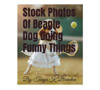 Stock Photos Of Beagle Dog Doing Funny Things