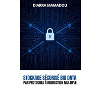 Stockage sécurisé Big Data par protocole à indirection multiple
