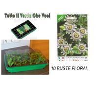 STOCKER - Tray Cold Frame Mini Greenhouse Coldframe 1X40 Pots +10 Bag Optional