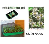 STOCKER - Tray Cold Frame Mini Greenhouse Coldframe 1X40 Pots +10 Bag Optional