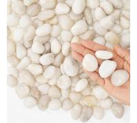 Stoepeoco 2.1 LB Natural Polished Pebbles,White Smooth River Rocks Decorative Ornamental stones Garden Landscaping Pebbles Gravel Filler for Flower Bed Fish Tank Plants Vases Succulents