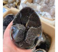 Stone 900-1.1kg Curvature of The Furnishing Articles Turtle Grain Egg Ball Septarian Nodule Crystal Quartz
