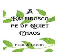 Stone A Kaleidoscope of Quiet Chaos Hardcover Book Stone Multicolor