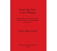 Stone Age Sites in the Making: Experiments in the Formation and Transformation of Archaeological Occurrences: 319 (British Archaeological Reports International Series)