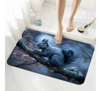 Stone Bath Mat Non Slip Quick Dry 60x90cm Super Absorbent Shower Bathroom Mat Squirrel, Washable Bathroom Rug Decor, Easy to Clean Floor Door Rugs Carpet for Living Room, Kitchen, Bedroom 5-1025
