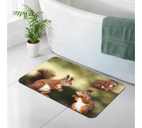 Stone Bath Mats for Bathroom Diatomaceous Earth Bath Mat Super Absorbent Floor Mat Cute Squirrels Stone Drying Mats Quick Drying Diatomite Shower Mat for Bathtub Pad 15.7x23.6in