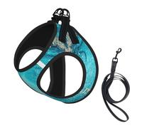 Stone Blue Gold Marble Print Pet Leash Vest Soft Adjustable Step in Puppy Vest Outdoor Walking with Leash