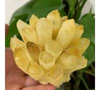 Stone Citrine Phantom Quartz Crystal Cluster (350-400g) Gemstone Stone