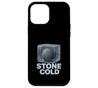 Stone Cold Literal English Major Funny Grammar Humor Student Case for iPhone 12 Pro Max