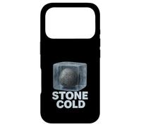 Stone Cold Literal English Major Funny Grammar Humor Student Case for iPhone 17 Pro