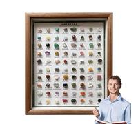 Stone Collection - 80 x Mineral Samples Grass Jewellery - Multi-Purpose Home Decor, Classic Rough Crystal in Wooden Frame for Women