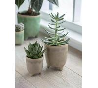 Stone Coloured Pots with Feet, Brown/Grey Crackle Glaze Ceramic Plant Pot Cover with Feet, 4 Sizes Tripod Plant Pot, Succulent Planter with Legs Feet Pot - Positano (Medium)