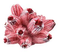 Stone Coral Reef Ornament, Aquarium Decor Artificial Fake Coral Mini Hiding Ornament for Fish Tank Decoration