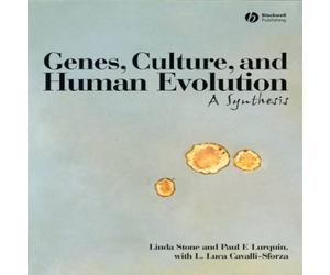 Stone Genes Culture Human Evolution C Hardcover Book Stone Multicolor