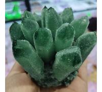 Stone Green Ghost Quartz Crystal Cluster Decorative Aquarium(350-400g)