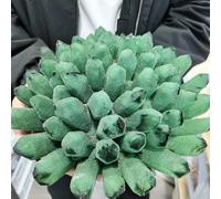 Stone Green Ghost Quartz Crystal Cluster Decorative Aquarium(810-1000g)