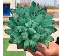 Stone Green Phantom Quartz Crystal Cluster Furniture Office Ornaments Birthday Gift(250-300g)
