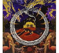 Stone House on Fire - Neverending Cycle (Black) [Vinyl LP] [VINYL]