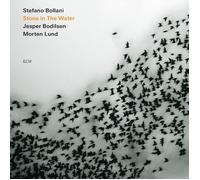 Stefano Bollani Trio - Stone In The Water
