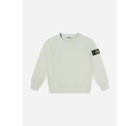 Stone Island Junior Stone Island Boys Cotton Fleece Sweatshirt in Grey - Grey - 8 Yrs