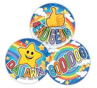Stone Melon Welsh Reward Stickers 144 Well Done Rainbow Star Stickers 30mm Round Awards Nursery Teachers Parents Children Kids
