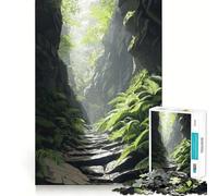 Stone Path Through Forest 1000 Piece Jigsaw Puzzles for Teenagers Cognitive Toy Slow Enjoy Premium Edge Santa Wish Pick 38x52cm