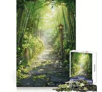 Stone Pathway Through Bamboo Forest 1000 Piece Jigsaw Puzzle for Teenagers Recall Upgrade Calm Mind Clear Cut Art Collectible 50x75cm
