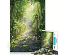Stone Pathway Through Bamboo Forest 1000 Piece Jigsaw Puzzle for Teenagers Recall Upgrade Calm Mind Clear Cut Art Collectible 50x75cm