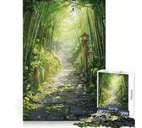 Stone Pathway Through Bamboo Forest 1000 Piece Jigsaw Puzzles for Adults Teenagers Memory Gain Relaxed Mind Design Assembly 38x52cm