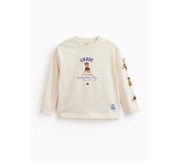 Stone Paw Patrol Long Sleeve T-Shirt 2-3 years