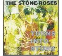Turns Into Stone [VINYL]