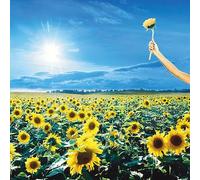 Stone Temple Pilots - Thank You [VINYL]