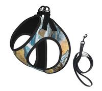 Stone Texture Print Harness Leash Set For Cats And Dogs, Reflective Adjustable, Soft Breathable Mesh Vest With Escape-Proof Lead, For Small Pets And Kitten Puppies