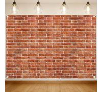 Stone Wall Backdrop Brick Wall Scene Setter Wallpaper Curtains Door Tablecloth Photo for Medieval Castle Winter Retro Red Backdrop for Wizard Party 8x6 ft
