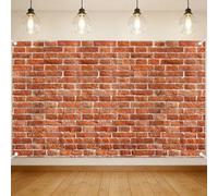 Stone Wall Backdrop Brick Wall Scene Setter Wallpaper Curtains Door Tablecloth Photo for Medieval Castle Winter Retro Red Backdrop for Wizard Party 71x43 Inch