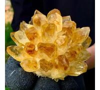 Stone Yellow Phantom Quartz Crystal Cluster (200-250g)