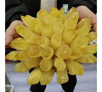Stone Yellow Phantom Quartz Crystal Cluster Home Aquarium Office Ornaments(510-600g)