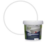 StoneCare4U Essential Walls & Ceilings Brilliant White Anti Condensation Paint 5L
