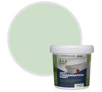 StoneCare4U Essential Walls & Ceilings Meadow Sage Anti Condensation Paint 5L
