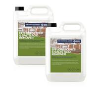 Stonecare4U - Efflorescence Remover (10L) - Removes Salts & Efflorescence From Brickwork, Masonry & Other Resistant Surfaces