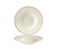 Stonecast Barl White Pasta 24 Plate Churchill