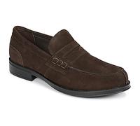 Stonefly Loafers / Casual Shoes BLISS 1 VELOURS in Brown 9